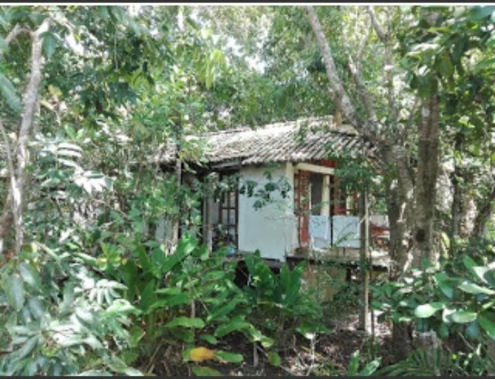 Bahia Das Jangadas. Hotel Serra Grande  Luaran gambar